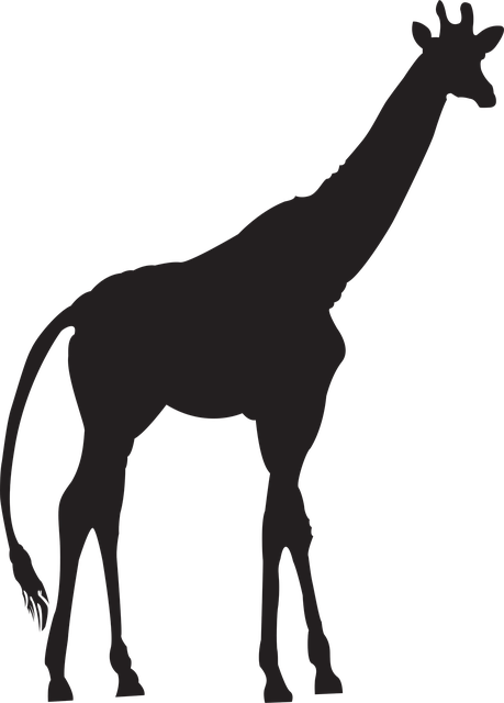 Jirafa, Clipart, Animal, Silueta