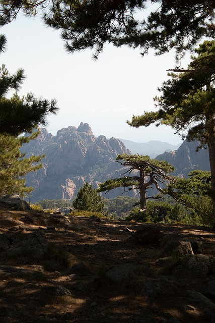 Free Field Mountains photo and picture