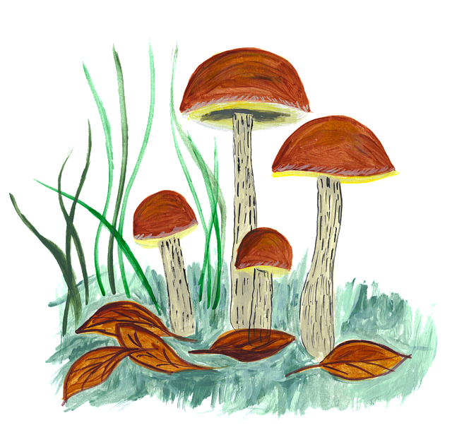 Free mushroom mushrooms forest vector