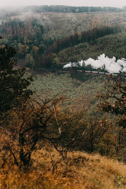 Berge, Zug, Dampflok, Eisenbahn