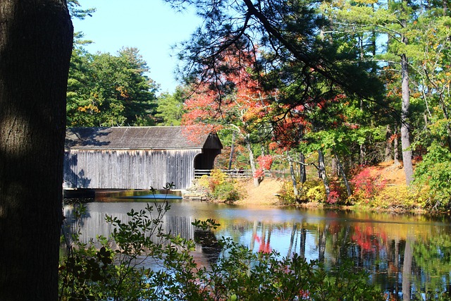 Val, Herfst, Brug, Water, Overdekte Brug