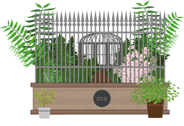 Free zoo animaux ours illustration