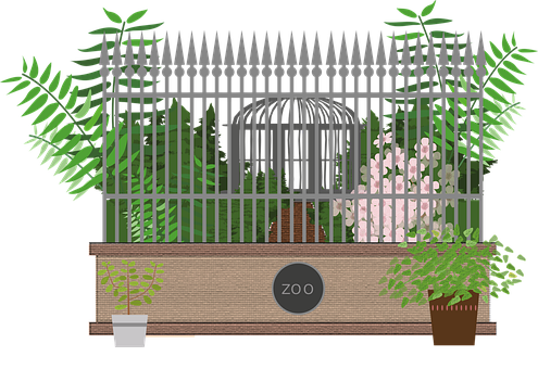 Zoo, Animaux, Nuestro, Bêtes, Naturaleza