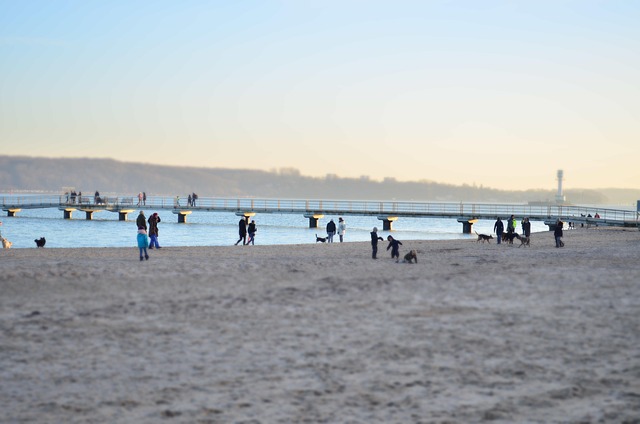 Free Kiel Beach photo and picture