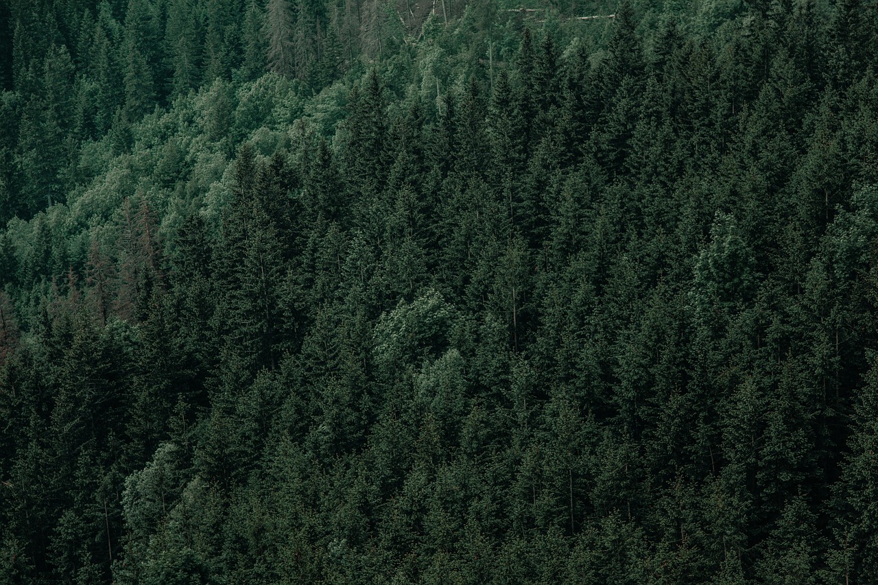 Download free HD stock image of Mountains Landscape Free Mountains Landscape photo and picture