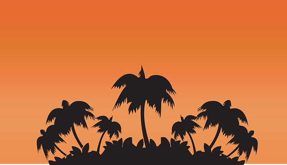 Free Orange Sunset Palm vector and picture