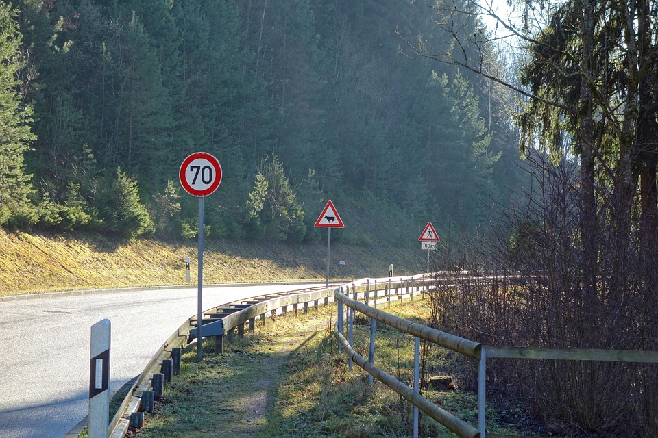 Country Road Traffic Sign Forest - Free photo on Pixabay