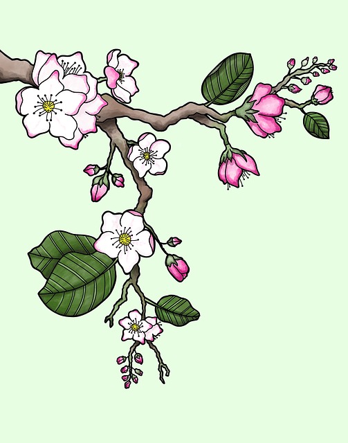 Flores De Manzana, Flores, Rama, Sale De