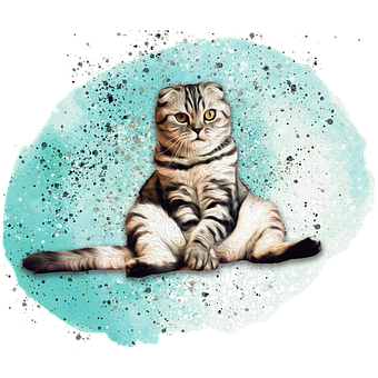 Kat, Kæledyr, Dyr, Portræt, Killing