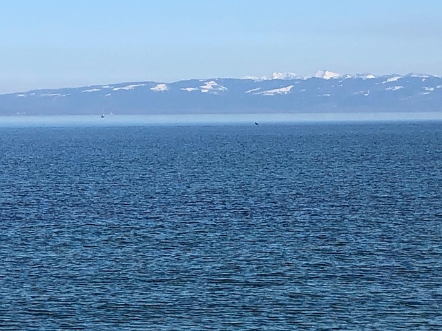 Jezero, Voda, Hory, Horské Pásmo