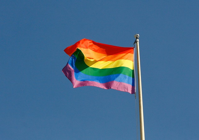 Regnbueflag, Flagstang, Flag