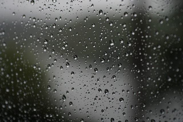 Free Sad Rain photo and picture
