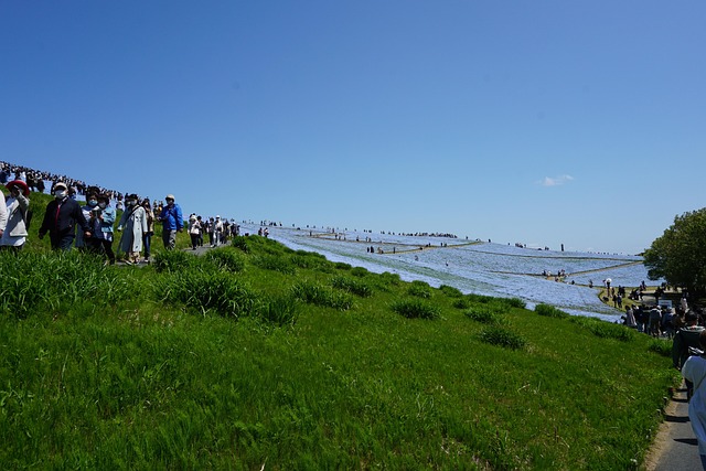 Free Hitachi Seaside Park Japan photo and picture