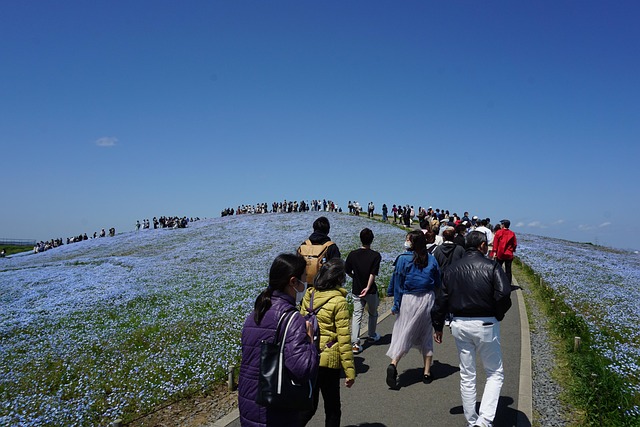 Free Hitachi Seaside Park Japan photo and picture