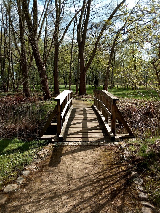 Bridge Trees Park - Free photo on Pixabay - Pixabay