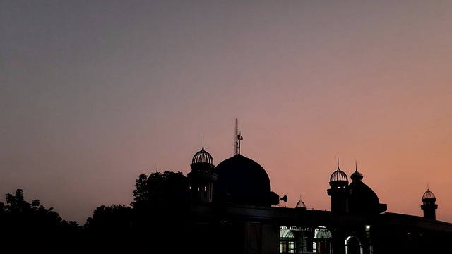 Free Mosque Muslim photo and picture