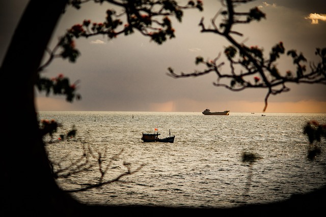 Free Sea Sunset photo and picture