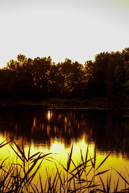 Free Lake Toulouse photo and picture