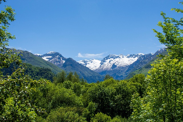 Free Mountains Forest photo and picture