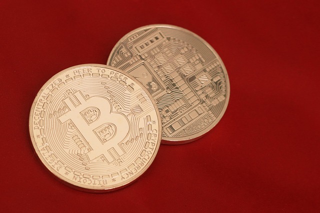 Free Bitcoin Money photo and picture