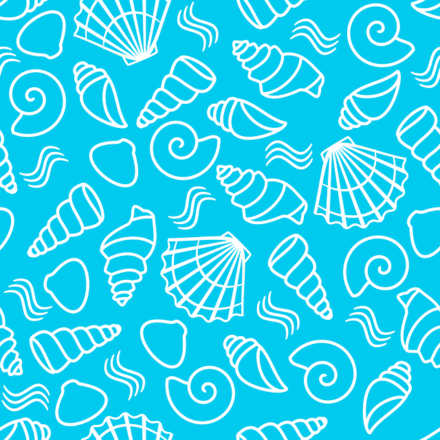 Free Shellfish Sea illustration and picture