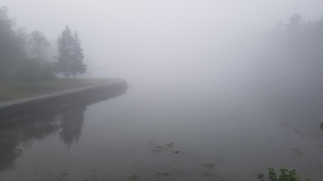 Free Bay Fog photo and picture