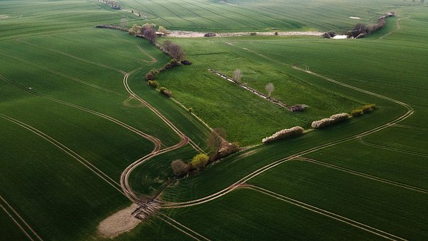 Paisaje, Campo, Norte, Naturaleza, Prado