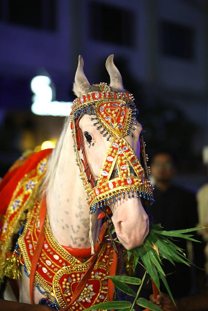 Free Horse Wedding photo and picture