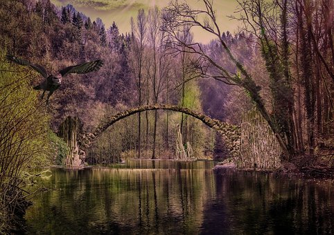 Lago, Floresta, Arco, Coruja, Vôo