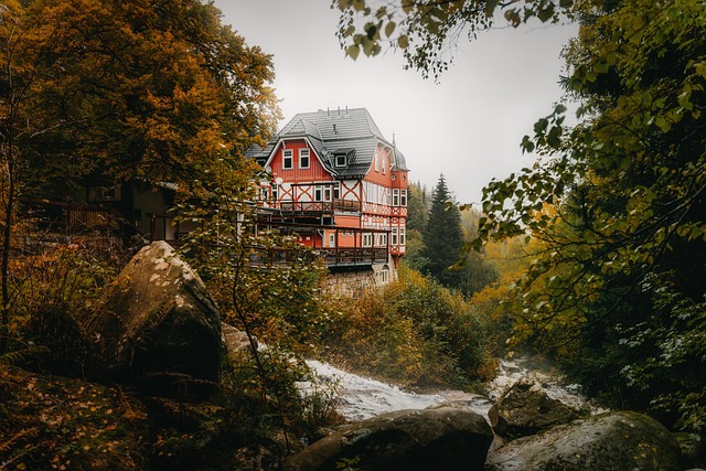 Haus, Wald, Fluss, Harz, Gebäude