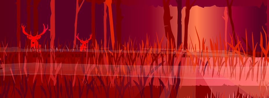 Free Forest Deer illustration and picture