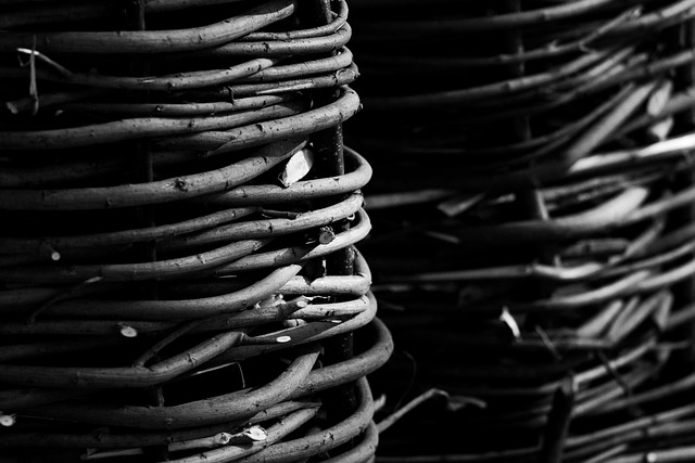 Free Fence Material photo and picture