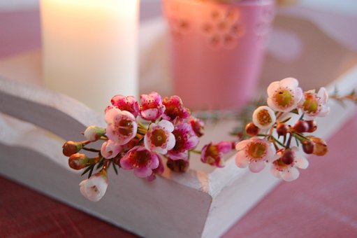 Free Still Life Candle photo and picture