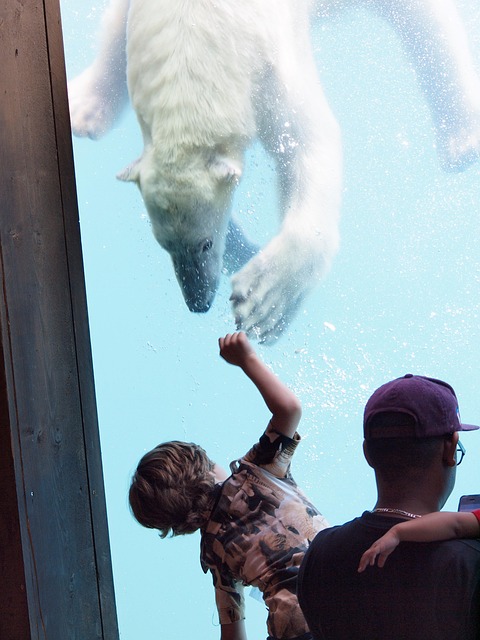 Free Polar Bear Child photo and picture