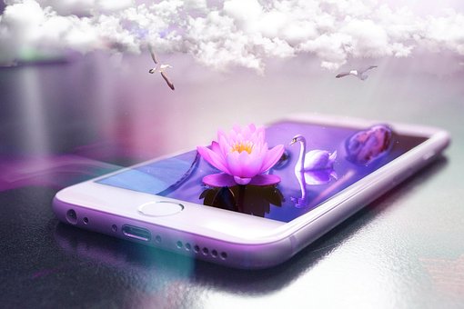 Free Smartphone Swan photo and picture