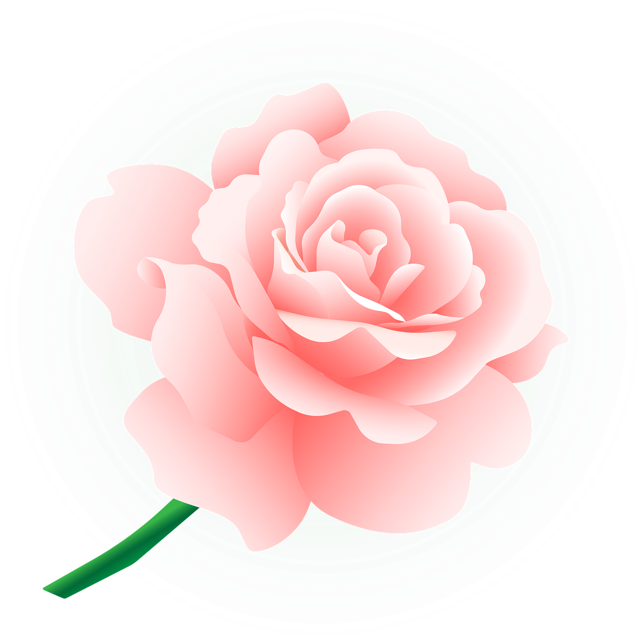Download Rose, Flower, Flowers. RoyaltyFree Vector Graphic Pixabay