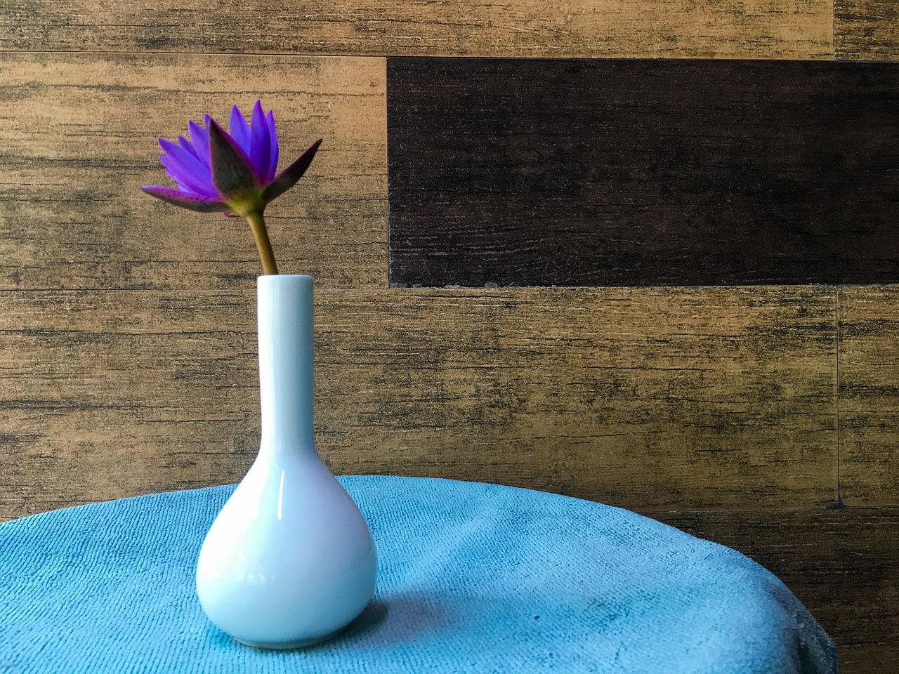Flower Vase Water Lily White Free photo on Pixabay Pixabay