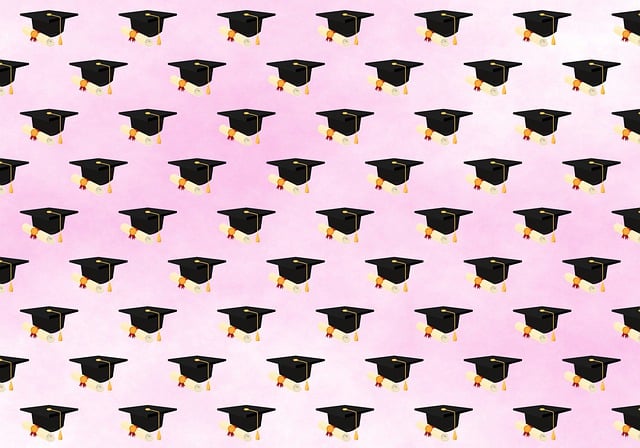 Diploma Uitreiking, Achtergrond