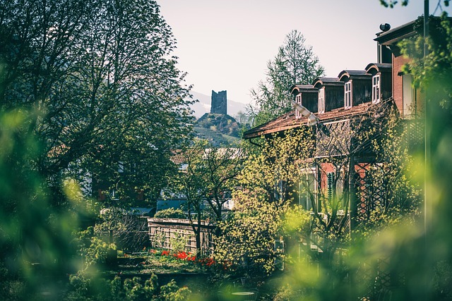 Bad Ragaz, Slottsruiner, Grønn, Natur
