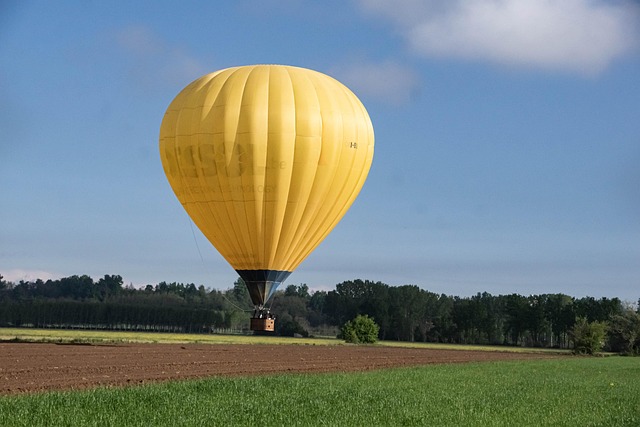 Free Hotairballoon Mongolfiera photo and picture