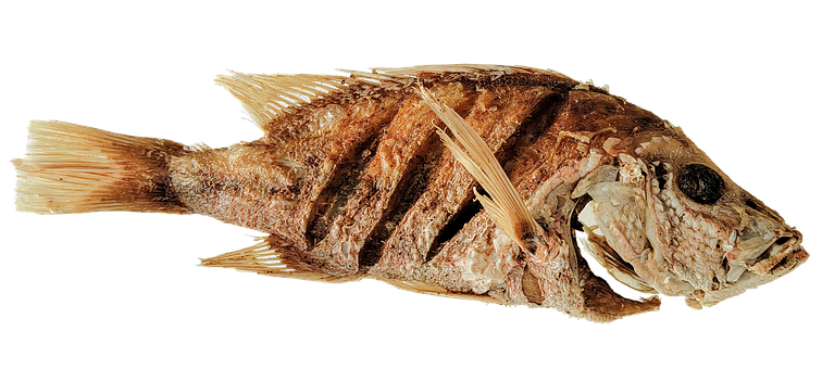 Gekookt, Vis, Zeevruchten, Eten, Gezond