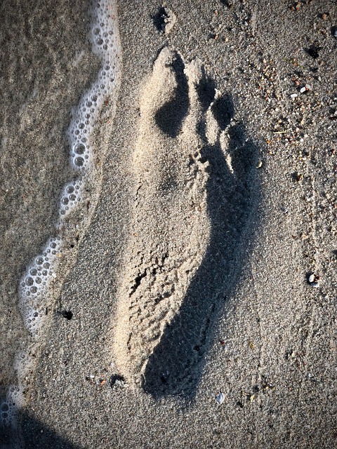Free Footprint Beach photo and picture