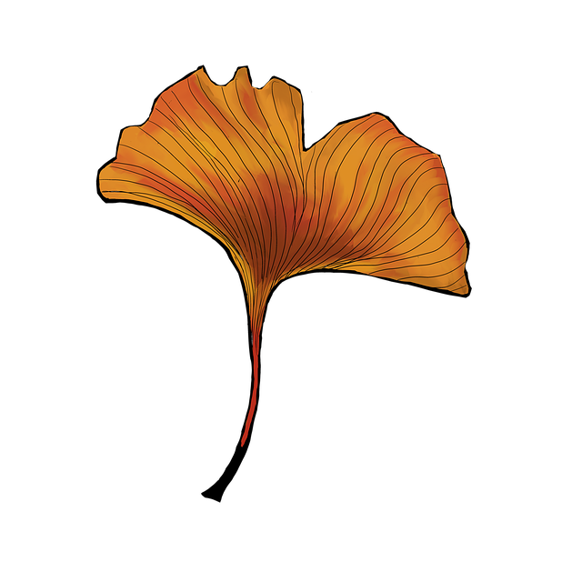 Free gingko leaf plant illustration