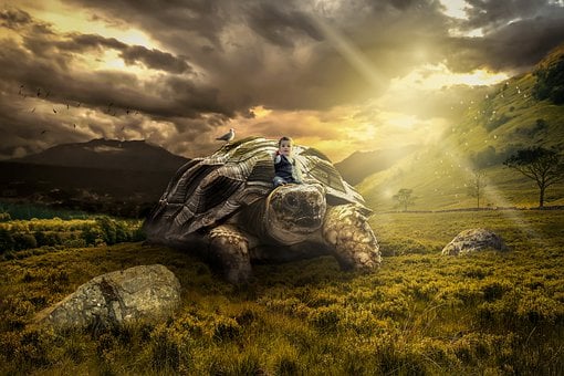 Free Tortoise Boy illustration and picture