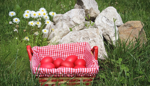 Free Flowers Eggs photo and picture