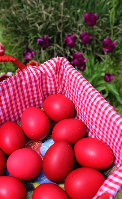 Free Flowers Eggs photo and picture