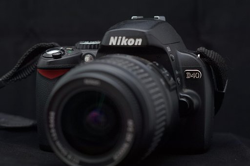 Free Nikon Photography photo and picture
