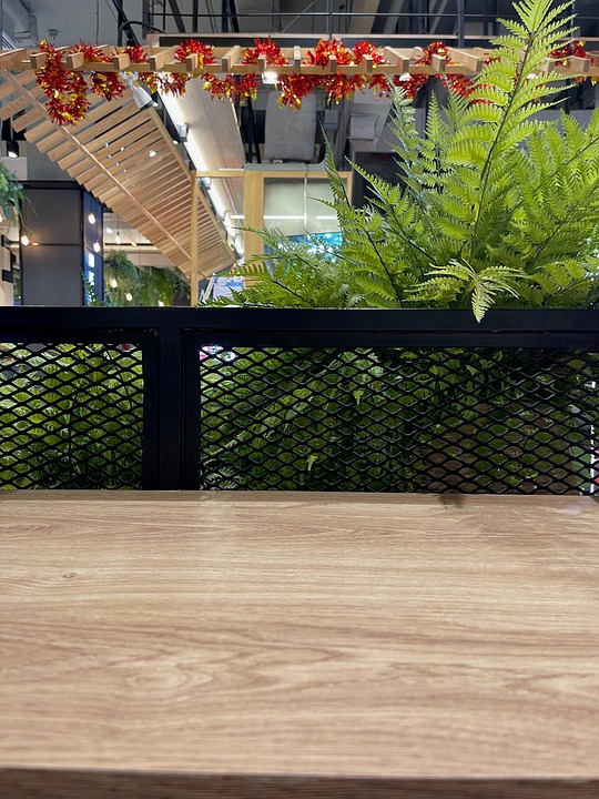 Cafe Table Photo Cafe Table Plants Wooden - Free photo on Pixabay