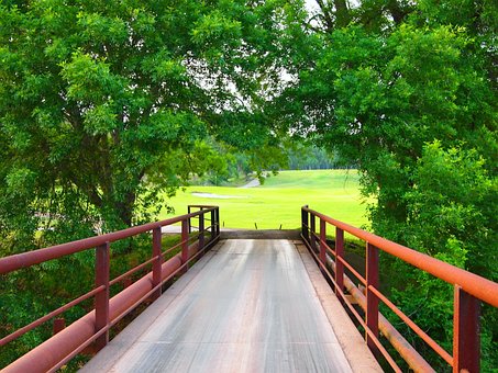 Golfbaan, Brug, Golfen, Velden, Bomen