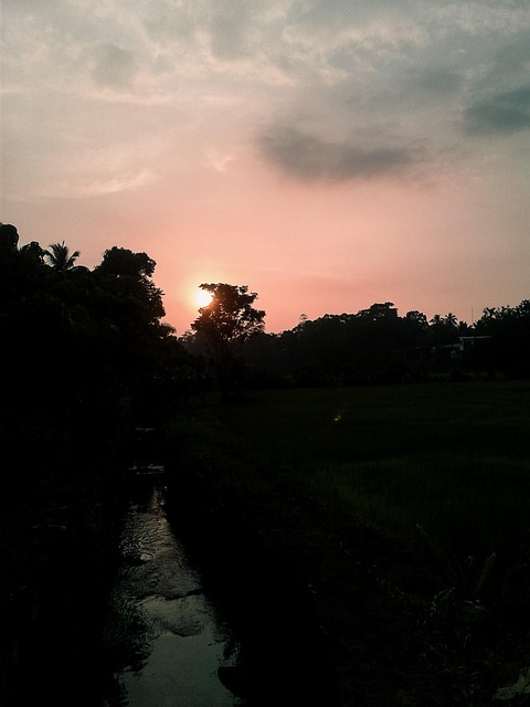 Atardecer, Velada, Tarde, Noche, Cielo